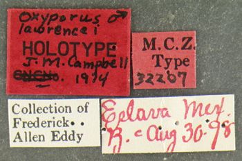 Media type: image;   Entomology 32207 Aspect: labels